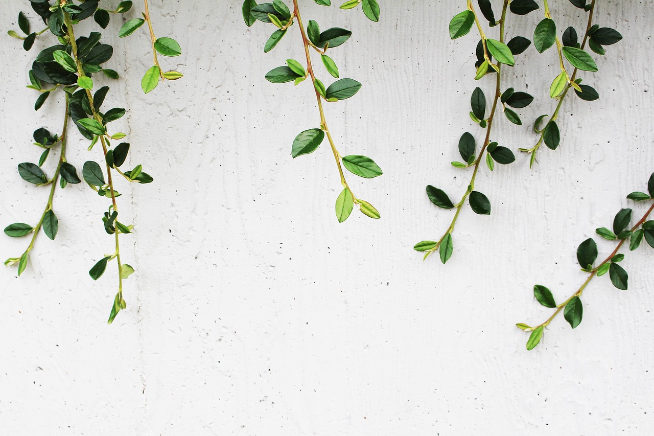 Creating Custom Wall Art - A Step-by-Step Guide